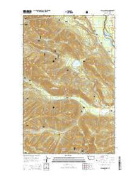 Cyclone Lake Montana Current topographic map, 1:24000 scale, 7.5 X 7.5 Minute, Year 2014