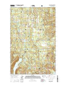 Cygnet Lake Montana Current topographic map, 1:24000 scale, 7.5 X 7.5 Minute, Year 2014