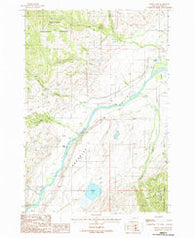 Dailey Lake Montana Historical topographic map, 1:24000 scale, 7.5 X 7.5 Minute, Year 1988