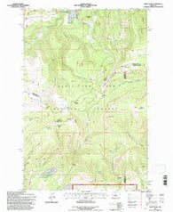 Daisy Peak Montana Historical topographic map, 1:24000 scale, 7.5 X 7.5 Minute, Year 1995