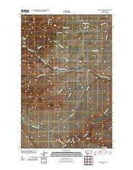 Dana Ranch Montana Historical topographic map, 1:24000 scale, 7.5 X 7.5 Minute, Year 2011