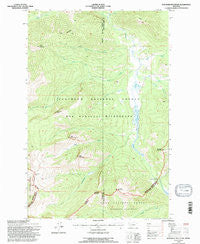 Danaher Mountain Montana Historical topographic map, 1:24000 scale, 7.5 X 7.5 Minute, Year 1994