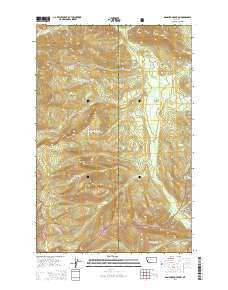 Danaher Mountain Montana Current topographic map, 1:24000 scale, 7.5 X 7.5 Minute, Year 2014