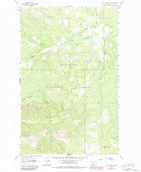 Davis Mountain Montana Historical topographic map, 1:24000 scale, 7.5 X 7.5 Minute, Year 1963