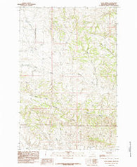 Davis Spring Montana Historical topographic map, 1:24000 scale, 7.5 X 7.5 Minute, Year 1985