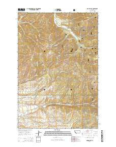 Davis Point Montana Current topographic map, 1:24000 scale, 7.5 X 7.5 Minute, Year 2014