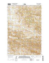 Davis Spring Montana Current topographic map, 1:24000 scale, 7.5 X 7.5 Minute, Year 2014