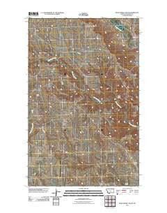 Dead Horse Coulee Montana Historical topographic map, 1:24000 scale, 7.5 X 7.5 Minute, Year 2011