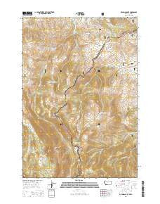 Deadman Lake Montana Current topographic map, 1:24000 scale, 7.5 X 7.5 Minute, Year 2014
