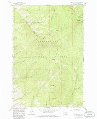 Deer Mountain Montana Historical topographic map, 1:24000 scale, 7.5 X 7.5 Minute, Year 1964