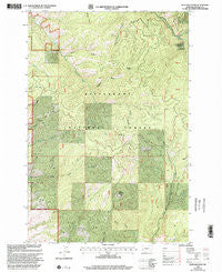 Deer Mountain Montana Historical topographic map, 1:24000 scale, 7.5 X 7.5 Minute, Year 1998