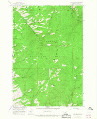 Deer Mountain Montana Historical topographic map, 1:24000 scale, 7.5 X 7.5 Minute, Year 1964
