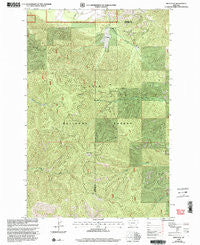 Deer Peak Montana Historical topographic map, 1:24000 scale, 7.5 X 7.5 Minute, Year 1999