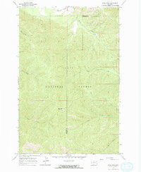 Deer Peak Montana Historical topographic map, 1:24000 scale, 7.5 X 7.5 Minute, Year 1964