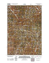 Deer Mountain Montana Historical topographic map, 1:24000 scale, 7.5 X 7.5 Minute, Year 2011