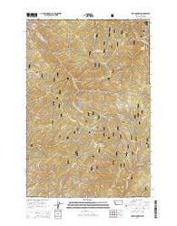 Deer Mountain Montana Current topographic map, 1:24000 scale, 7.5 X 7.5 Minute, Year 2014