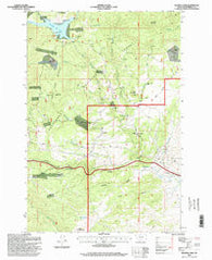 Delmoe Lake Montana Historical topographic map, 1:24000 scale, 7.5 X 7.5 Minute, Year 1996