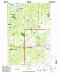 Delmoe Lake Montana Historical topographic map, 1:24000 scale, 7.5 X 7.5 Minute, Year 1996