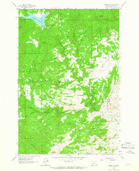 Delmoe Lake Montana Historical topographic map, 1:24000 scale, 7.5 X 7.5 Minute, Year 1963