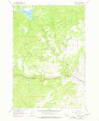 Delmoe Lake Montana Historical topographic map, 1:24000 scale, 7.5 X 7.5 Minute, Year 1963