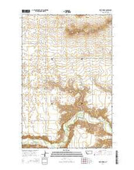 Dent Bridge Montana Current topographic map, 1:24000 scale, 7.5 X 7.5 Minute, Year 2014