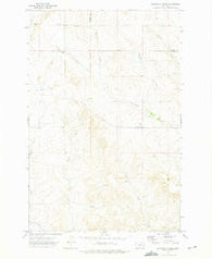 Diamond G Creek Montana Historical topographic map, 1:24000 scale, 7.5 X 7.5 Minute, Year 1972