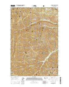 Diamond Point Montana Current topographic map, 1:24000 scale, 7.5 X 7.5 Minute, Year 2014