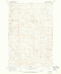 Dice Dam Montana Historical topographic map, 1:24000 scale, 7.5 X 7.5 Minute, Year 1965
