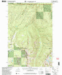 Dick Creek Montana Historical topographic map, 1:24000 scale, 7.5 X 7.5 Minute, Year 1999