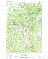 Dickie Peak Montana Historical topographic map, 1:24000 scale, 7.5 X 7.5 Minute, Year 1961