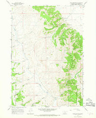 Dixon Mountain Montana Historical topographic map, 1:24000 scale, 7.5 X 7.5 Minute, Year 1965