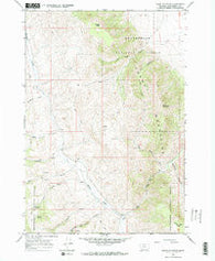 Dixon Mountain Montana Historical topographic map, 1:24000 scale, 7.5 X 7.5 Minute, Year 1965
