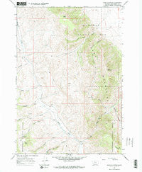 Dixon Mountain Montana Historical topographic map, 1:24000 scale, 7.5 X 7.5 Minute, Year 1965