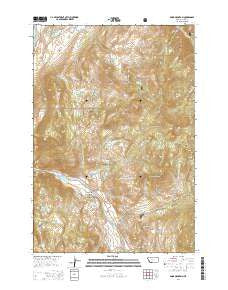 Dome Mountain Montana Current topographic map, 1:24000 scale, 7.5 X 7.5 Minute, Year 2014
