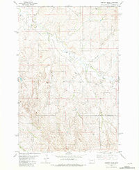 Dorothy Draw Montana Historical topographic map, 1:24000 scale, 7.5 X 7.5 Minute, Year 1981
