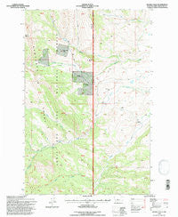 Double Falls Montana Historical topographic map, 1:24000 scale, 7.5 X 7.5 Minute, Year 1995
