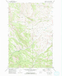Double Falls Montana Historical topographic map, 1:24000 scale, 7.5 X 7.5 Minute, Year 1970