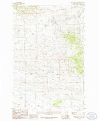 Dry Blood Creek East Montana Historical topographic map, 1:24000 scale, 7.5 X 7.5 Minute, Year 1986