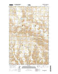 Dry Fork Ridge Montana Current topographic map, 1:24000 scale, 7.5 X 7.5 Minute, Year 2014