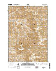 Dudley Spring Montana Current topographic map, 1:24000 scale, 7.5 X 7.5 Minute, Year 2014