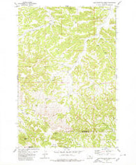 Dunn Mountain North Montana Historical topographic map, 1:24000 scale, 7.5 X 7.5 Minute, Year 1980