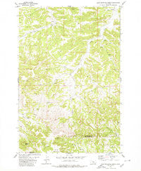 Dunn Mountain North Montana Historical topographic map, 1:24000 scale, 7.5 X 7.5 Minute, Year 1980
