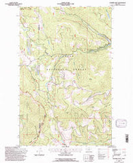 Dunsire Point Montana Historical topographic map, 1:24000 scale, 7.5 X 7.5 Minute, Year 1994