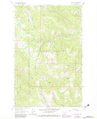 Dunsire Point Montana Historical topographic map, 1:24000 scale, 7.5 X 7.5 Minute, Year 1963