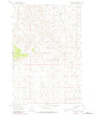 Dutton Ranch Montana Historical topographic map, 1:24000 scale, 7.5 X 7.5 Minute, Year 1963