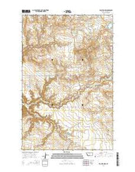 Eagleton NW Montana Current topographic map, 1:24000 scale, 7.5 X 7.5 Minute, Year 2014