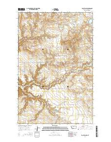 Eagleton NW Montana Current topographic map, 1:24000 scale, 7.5 X 7.5 Minute, Year 2014