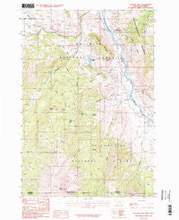 Electric Peak Montana Historical topographic map, 1:24000 scale, 7.5 X 7.5 Minute, Year 1986