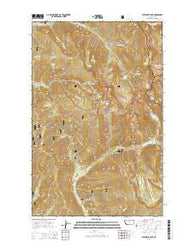 Elephant Peak Montana Current topographic map, 1:24000 scale, 7.5 X 7.5 Minute, Year 2014