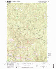 Elevation Mountain Montana Historical topographic map, 1:24000 scale, 7.5 X 7.5 Minute, Year 1965